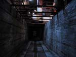 donvalleybrickworks17